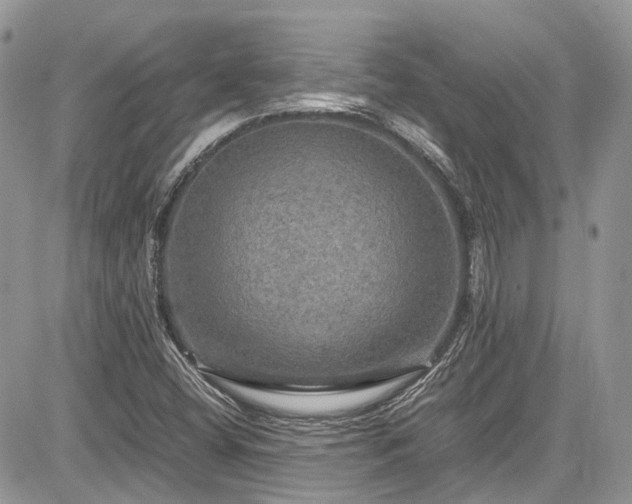 X0000085271404200703161418