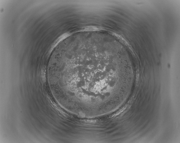 X0000085271409200703161418