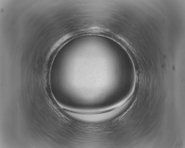 X0000085271410200703161418