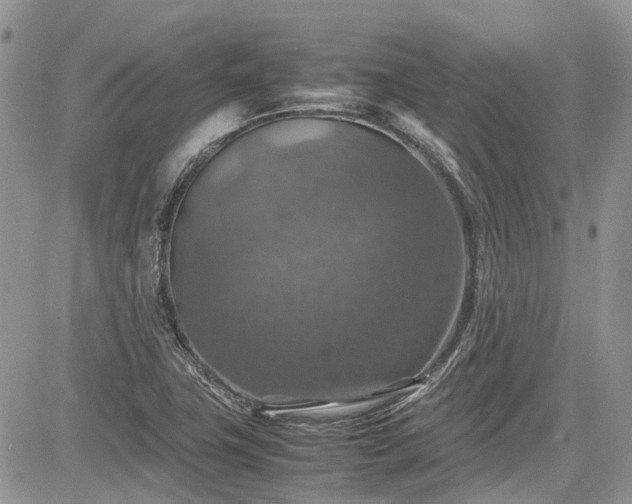 X0000085271411200703161418