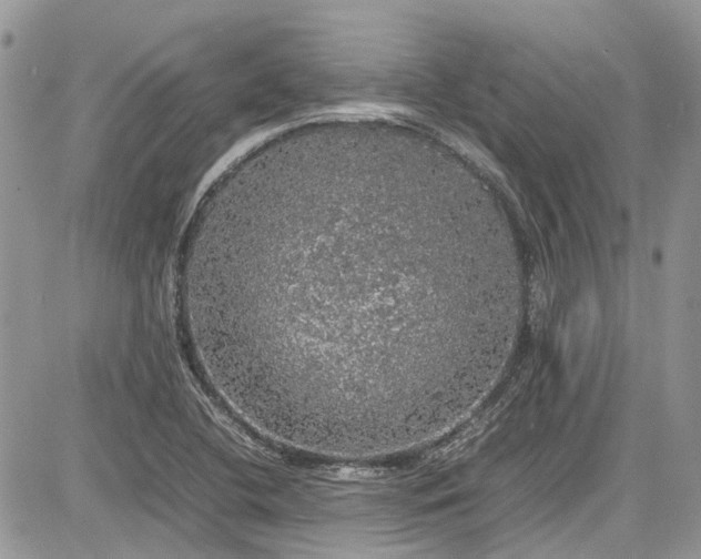 X0000085271412200703161418