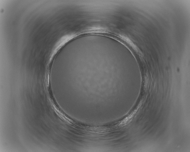 X0000085271413200703161418