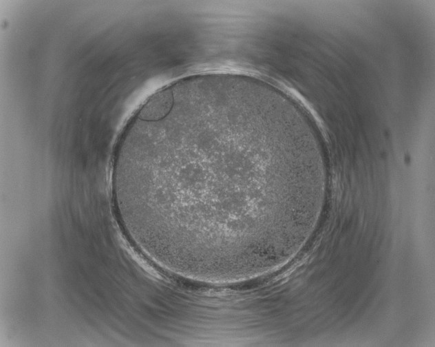 X0000085271416200703161418