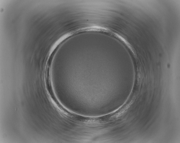 X0000085271418200703161418