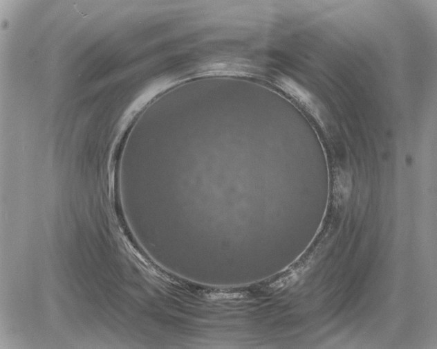 X0000085271419200703161418