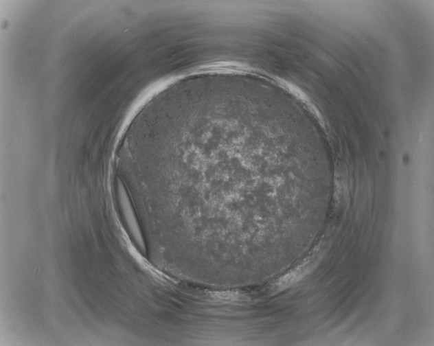 X0000085271421200703161418