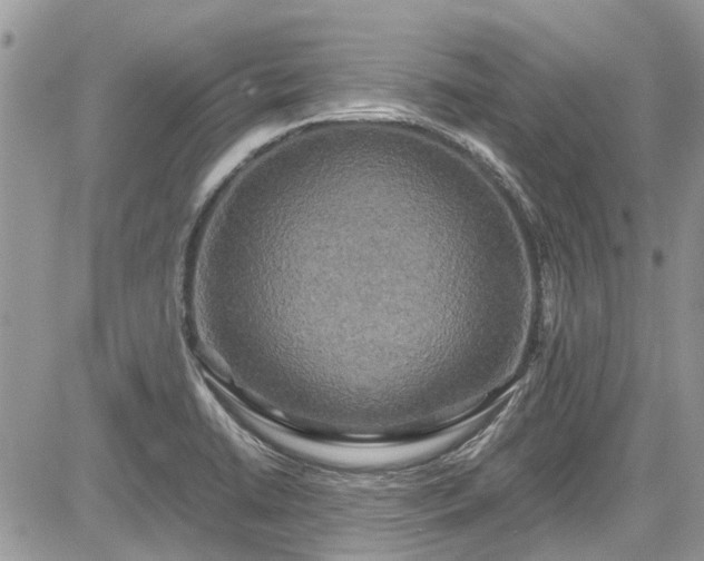 X0000085271422200703161418