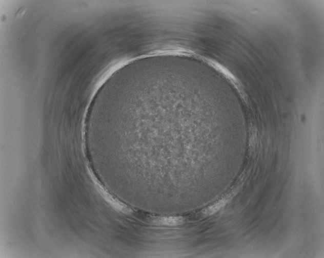 X0000085271423200703161418