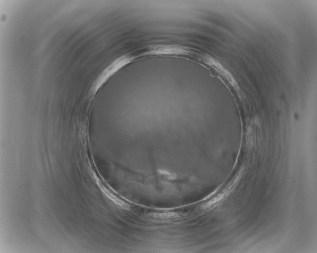 X0000085271425200703161418