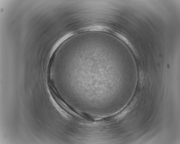 X0000085271426200703161418