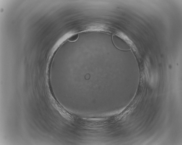 X0000085271427200703161418