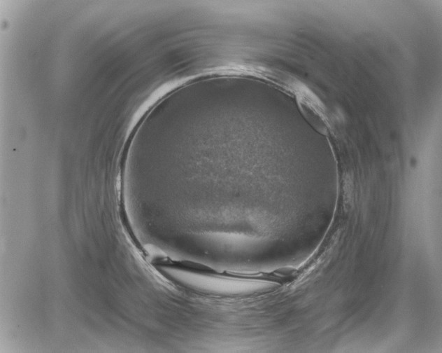 X0000085271428200703161418