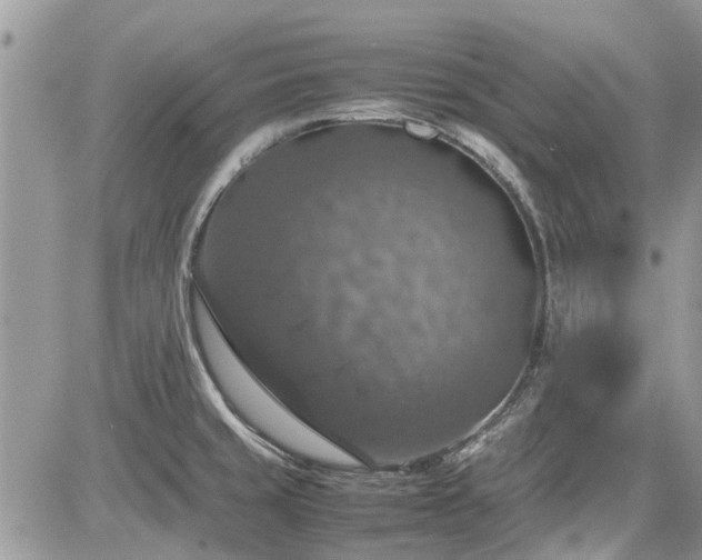 X0000085271429200703161418