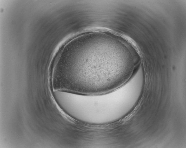 X0000085271430200703161418