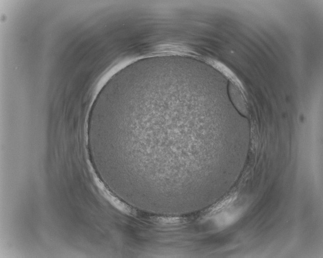 X0000085271431200703161418