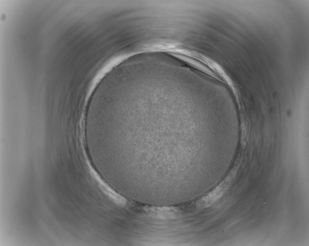 X0000085271432200703161418