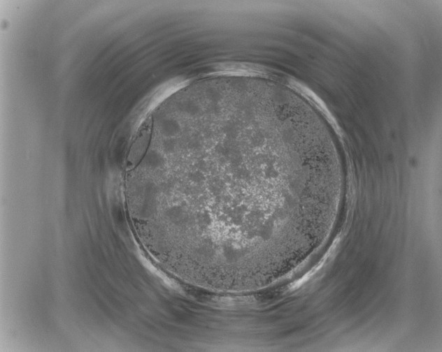 X0000085271433200703161418