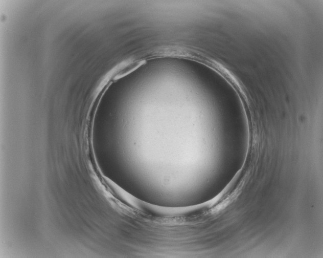 X0000085271434200703161418