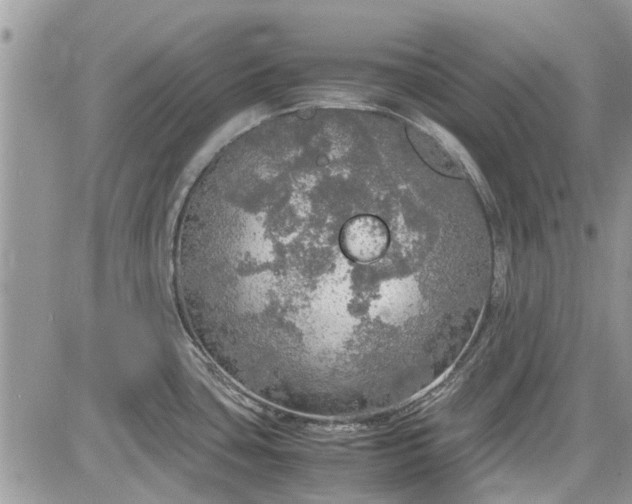 X0000085271435200703161418