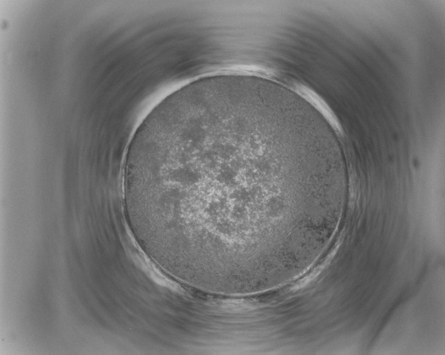 X0000085271436200703161418