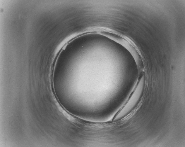 X0000085271438200703161418