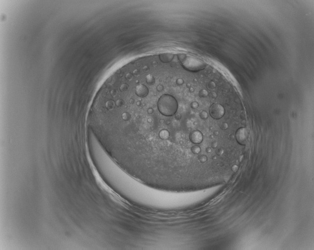 X0000085271439200703161418