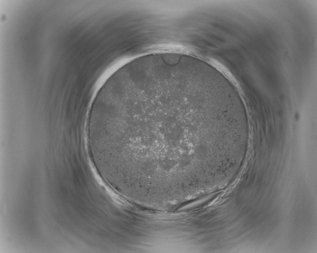 X0000085271440200703161418