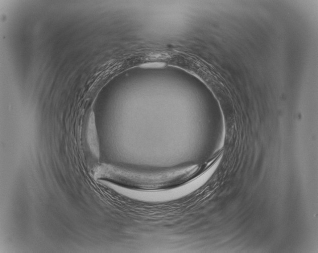 X0000085271441200703161417