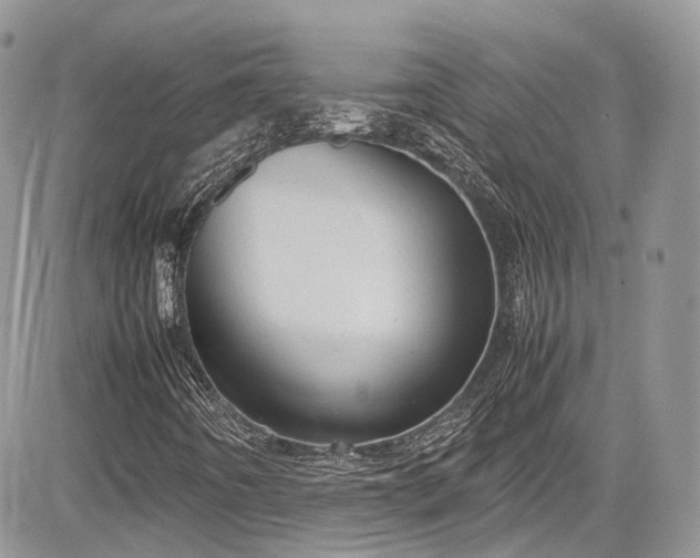 X0000085271442200703161417