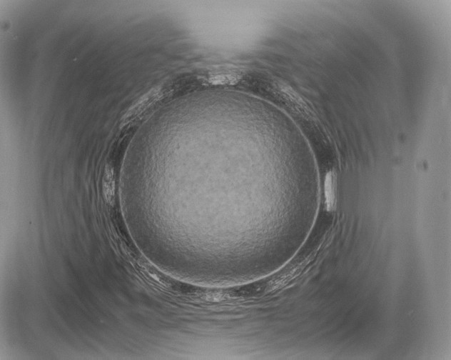 X0000085271443200703161417