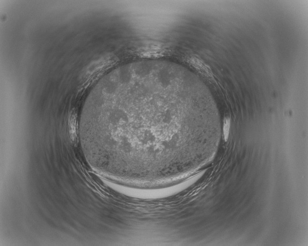 X0000085271444200703161417