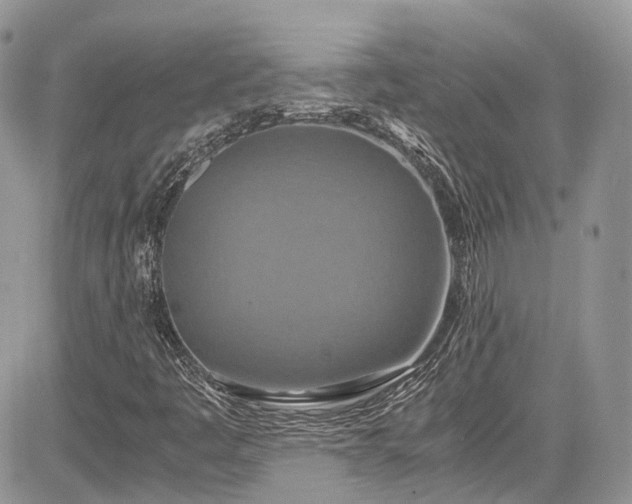 X0000085271445200703161417