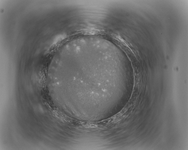 X0000085271446200703161417