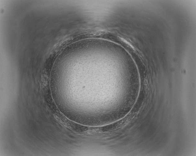 X0000085271447200703161417