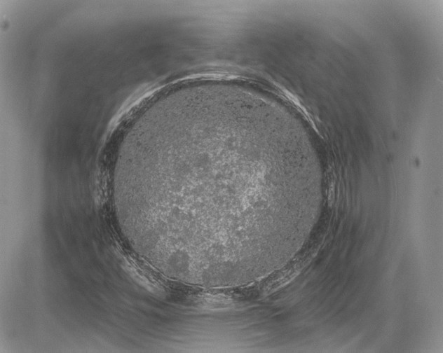 X0000085271448200703161417