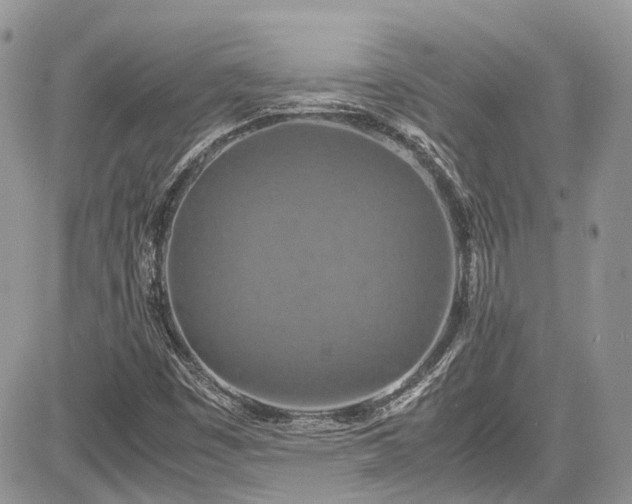 X0000085271449200703161417