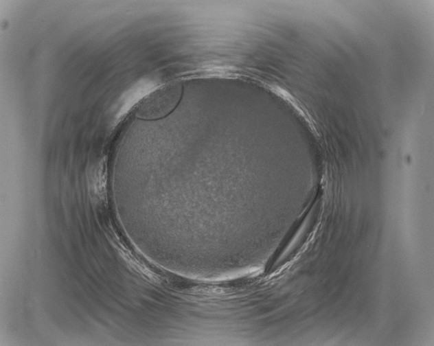 X0000085271450200703161417