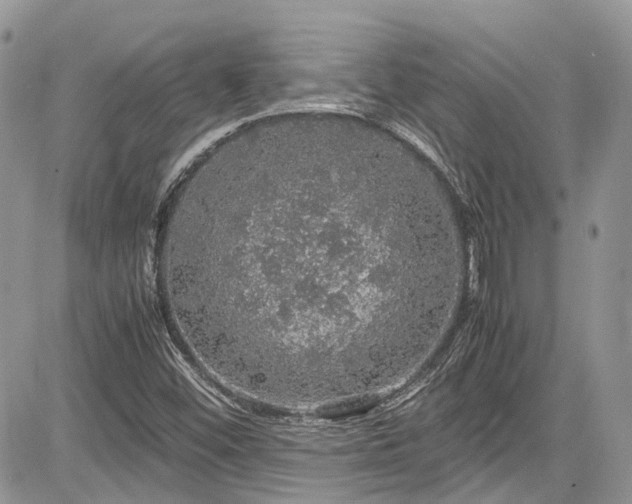 X0000085271452200703161417