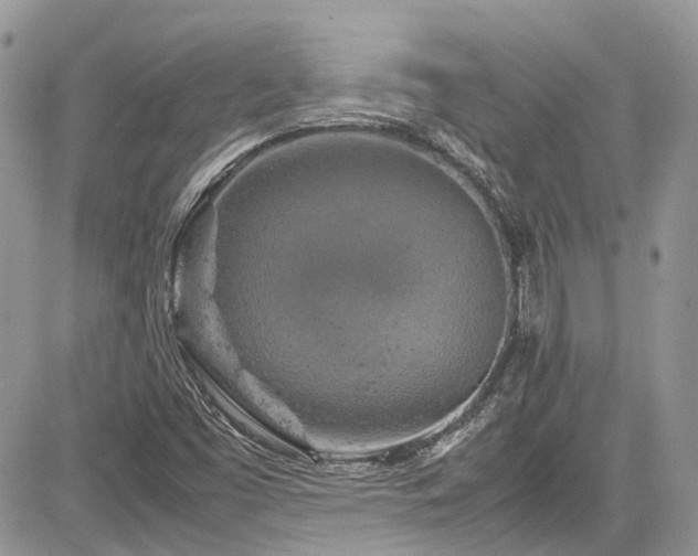 X0000085271453200703161417