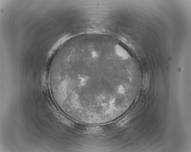 X0000085271454200703161417