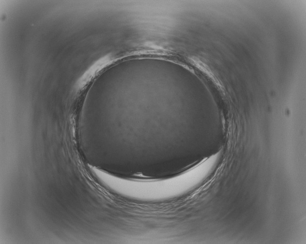 X0000085271455200703161417