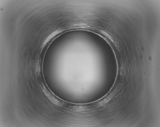 X0000085271458200703161417