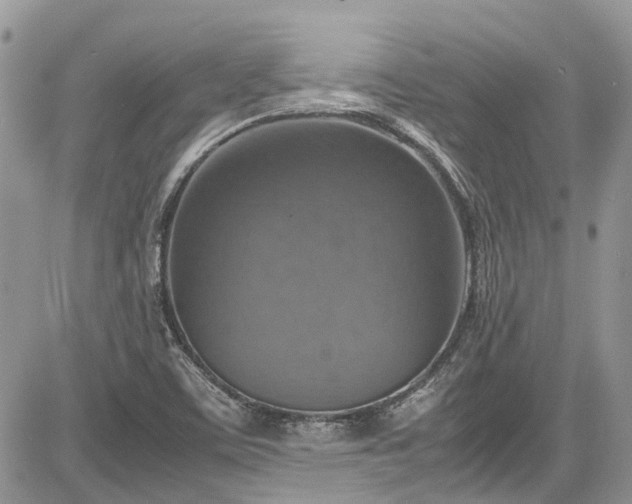 X0000085271459200703161417