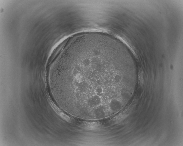 X0000085271460200703161417