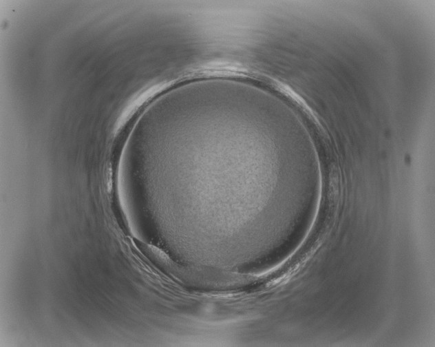 X0000085271461200703161417