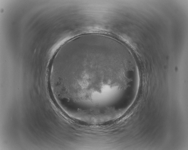 X0000085271463200703161417