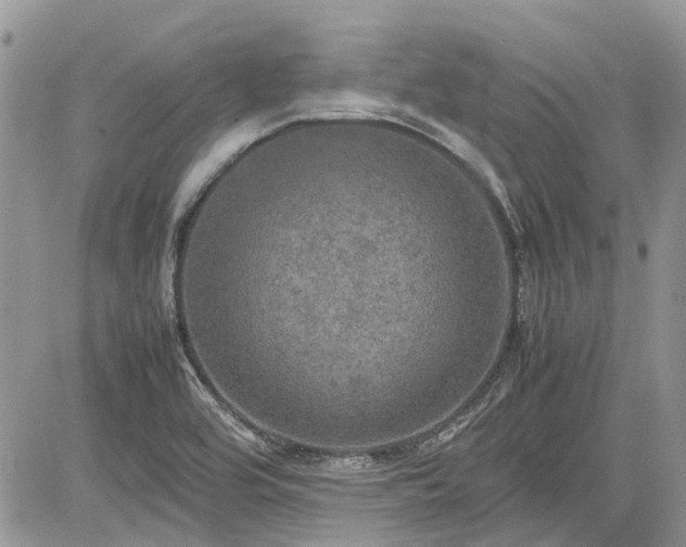 X0000085271464200703161417