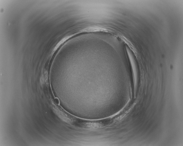 X0000085271465200703161417