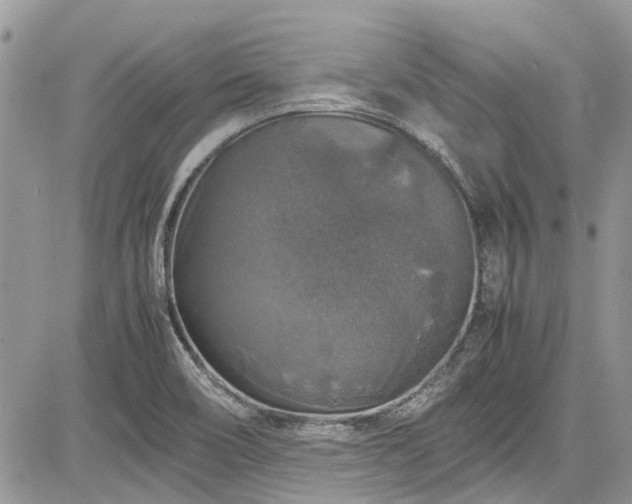 X0000085271466200703161417