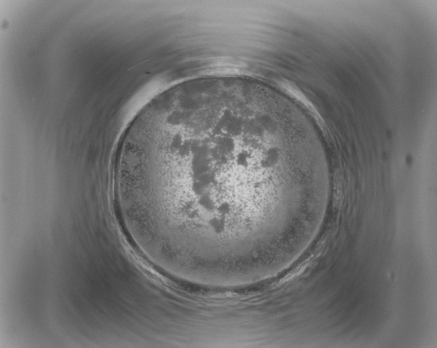 X0000085271467200703161417